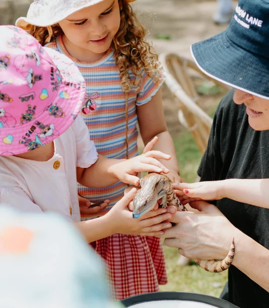 Interactive activities